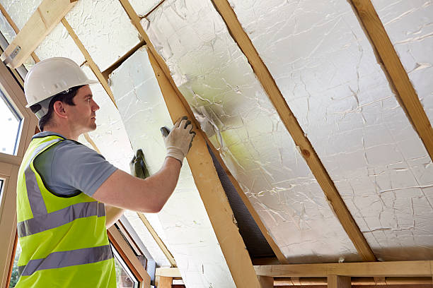 Best Insulation Inspection Services  in Modesto, CA